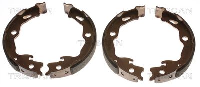 SET SABOTI FRANA FRANA DE MANA TRISCAN 810025009