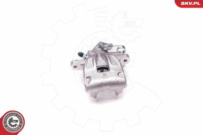 Brake Caliper 23SKV317