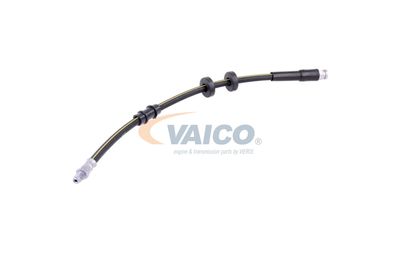 FURTUN FRANA VAICO V240970 45