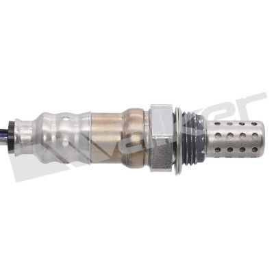 LAMBDASONDE WALKER PRODUCTS 25024234 1