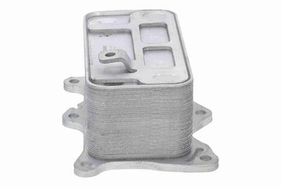 RADIATOR ULEI ULEI MOTOR VEMO V30600036 6