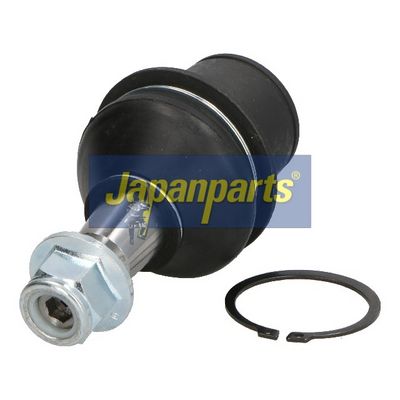 JAPANPARTS Šarnyras / girgždukas