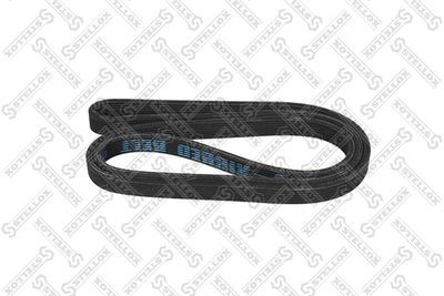 пистов ремък STELLOX 97-01884-SX