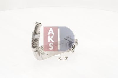 KüHLER ABGASRüCKFüHRUNG AKS DASIS 050077N 13