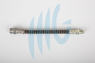 Тормозной шланг RICAMBIFLEX GM 02160936 для HYUNDAI H-1