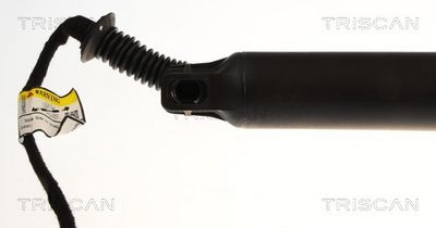Plynárenská vzpera (pneumatická pružina), zavazadlový priestor TRISCAN 8710 28305