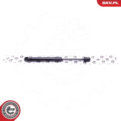 Dujinė spyruoklė, gaubtas