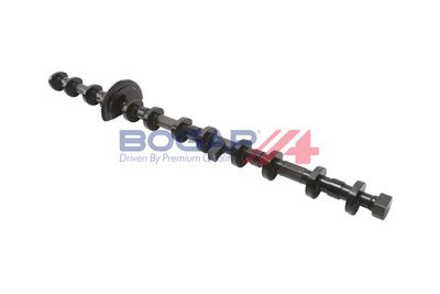 ARBORE EXCENTRIC REGLAREA ARBORELUI CU CAME BOGAP B1350111 2