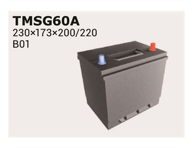 IPSA TMSG65A Аккумулятор  для TOYOTA AURION (Тойота Аурион)