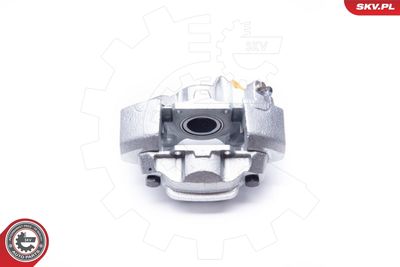 Brake Caliper 34SKV908