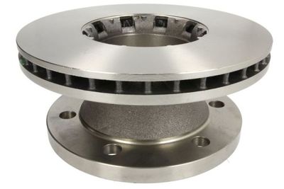 Brake disc voor Rechts (304mmx30mm) past: RVI MIDLINER 05.83-01.00