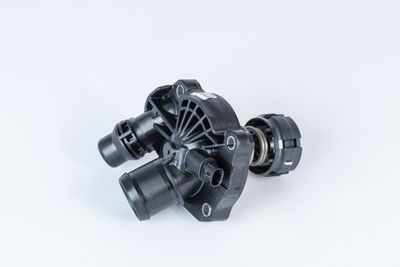 TERMOSTAT LICHID RACIRE BorgWarner (Wahler) 411471103D