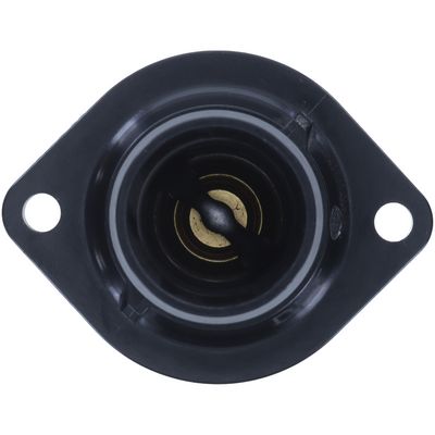 Termostat, chladivo MOTORAD 438-89K