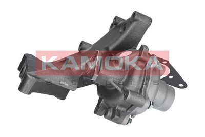 Water Pump, engine cooling T0121