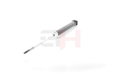 AMORTIZOR GH GH333995 14