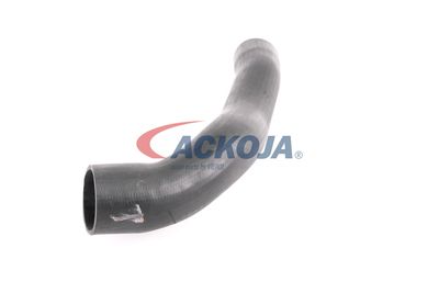 FURTUN EAR SUPRAALIMENTARE ACKOJA A379600 26