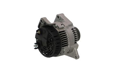 GENERATOR / ALTERNATOR REMANTE 011003000424R 33