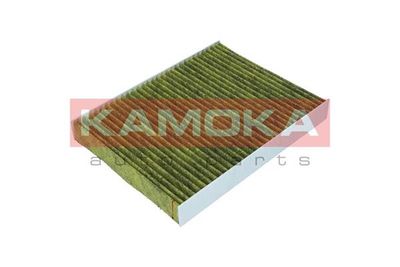 Filter, cabin air 6080014