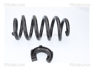 ARC SPIRAL TRISCAN 875029579 1