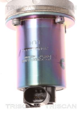 Supapa EGR TRISCAN 8813 43001