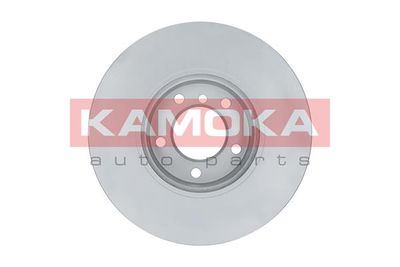 Brake Disc 1031024