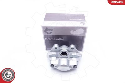 Brake Caliper 34SKV903