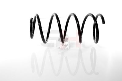 ARC SPIRAL GH GH204815 5