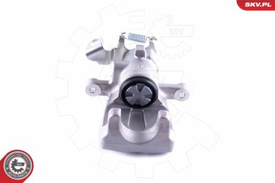 Brake Caliper 55SKV124