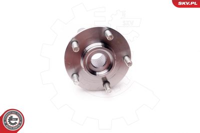 Wheel Bearing Kit 29SKV052