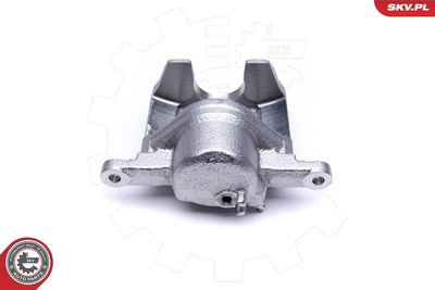 Brake Caliper 50SKV411