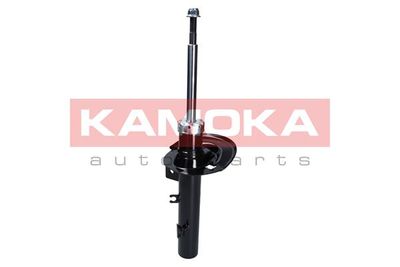 Shock Absorber 2000143