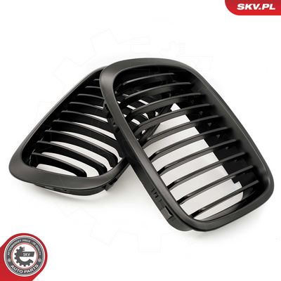 GRILA RADIATOR ESEN SKV 66SKV062 2