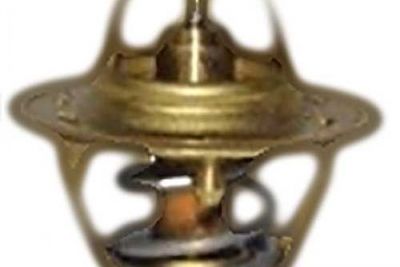 TERMOSTAT LICHID RACIRE