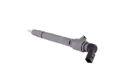 INJECTOR REMANTE 002003001053R 17