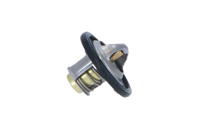 THERMOSTAT KüHLMITTEL NRF 725061 36