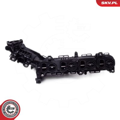 Intake Manifold Module 49SKV078