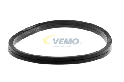 GARNITURA TERMOSTAT VEMO V30999005 51