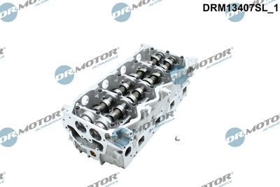 Hlava válce Dr.Motor Automotive DRM13407SL