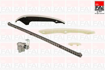 Steuerkettensatz FAI AutoParts TCK174NG