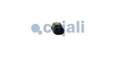 Senzor, temperatura rashladne tečnosti COJALI 2262054