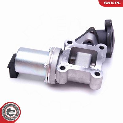 SUPAPA EGR ESEN SKV 14SKV214 2
