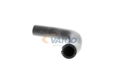 FURTUN EAR SUPRAALIMENTARE VAICO V240728 19