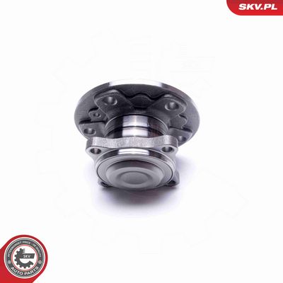 SET RULMENT ROATA ESEN SKV 29SKV317 2