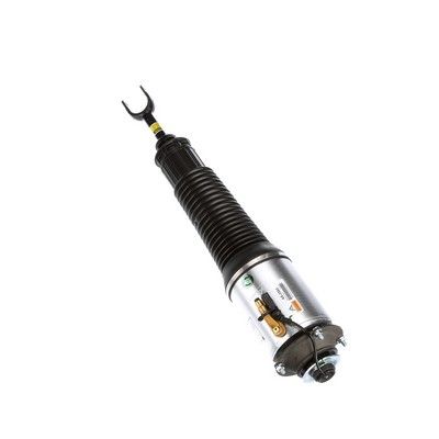 LUFTFEDERBEIN Arnott AS2560 56