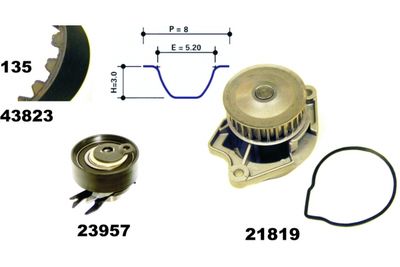 SET POMPA APA + CUREA DINTATA