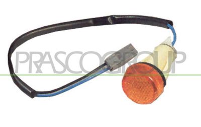 Фонарь указателя поворота PRASCO FT1214039 для FIAT PANDA