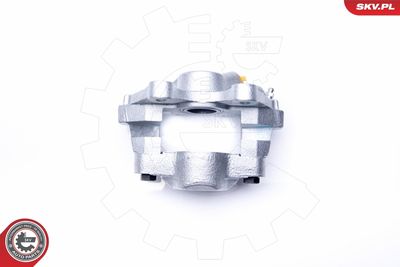 Brake Caliper 34SKV913