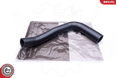 FURTUN EAR SUPRAALIMENTARE