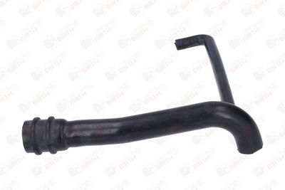 FURTUN ULEI BIRTH 56012 4