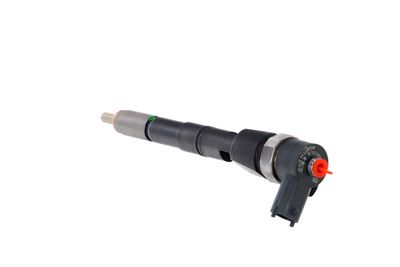 INJECTOR REMANTE 002003001674R 19